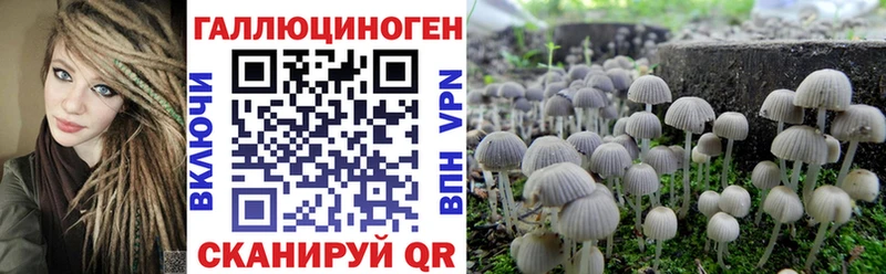 Псилоцибиновые грибы Psilocybe  гидра tor  Сызрань 